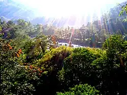 Saramsa Garden, Gangtok, in 2013