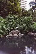 Brisbane City Botanic Gardens