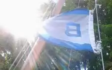 Britannia Yacht Club burgee on mast
