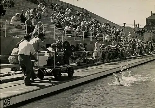 Filming during the 1950 British Empire Games