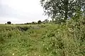 Brockwell Meadows