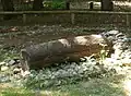 Log coffin burial, reconstruction.[195]