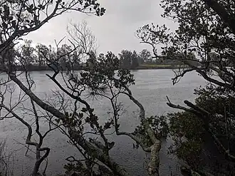 Broughton Creek at Back Forest