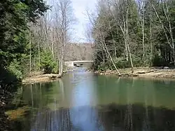 Anderson Creek in Union Township