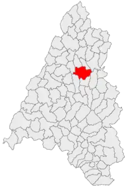 Location in Bihor County
