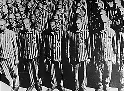 Dutch Jews wearing a yellow star and the letter N for Niederländer at Mauthausen.[42]