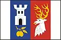 Flag of Budíškovice