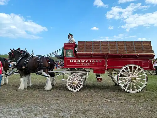 American show wagon 2023