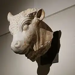 Photograph of an ancient stone carving of a bull's head in a museum setting. The details of the carving are fine and ornate.