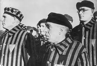 Single-triangle badges in various colours visible on detainees in Sachsenhausen