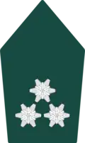 Rockkragen