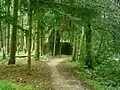 Bunker and antitank ditch in De Inslag