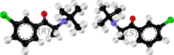 Ball-and-stick model of the (S) isomer of the bupropion molecule