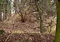 Zur Alten Burg monumental zone