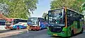 Surabaya city bus and Trans Jatim.