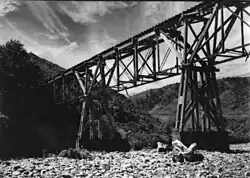 Bush tramway bridge with two piers crossing the Hutt River at Te Mārua