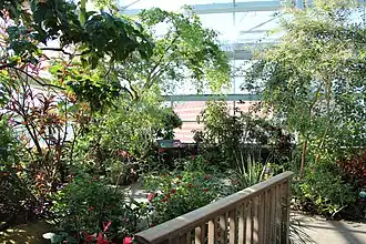 Butterfly garden.