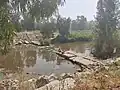 The Sorek near its mouth