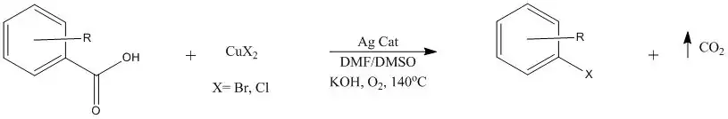 C-X cross-coupling by Wu et al. 2010