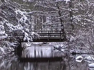 Winterscape