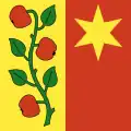 Flag of Affoltern