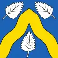 Flag of Bioley-Magnoux