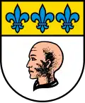 Coat of arms of Borgnone