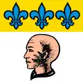 Flag of Borgnone