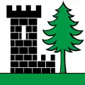 Flag of Burg