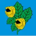 Flag of Castagnola-Cassarate