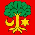 Flag of Erlach District