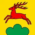 Flag of Günsberg