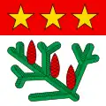 Flag of La Praz
