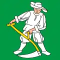 Flag of Madiswil