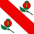 Flag of Nendaz