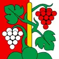 Flag of Oberhofen am Thunersee