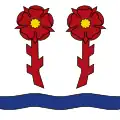 Flag of Rapperswil-Jona