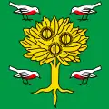 Flag of Sorengo