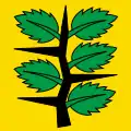 Flag of Wachseldorn