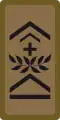 OR-7a - Quartermaster sergeant