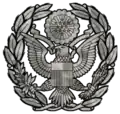 CMSAF Cap Insignia