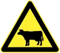 Domestic animals