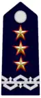 Shoulder insignia of a Ispettore generale of the Vatican Gendarmerie