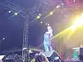 Cali P 2013