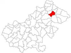 Location in Satu Mare County