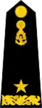 Commodore