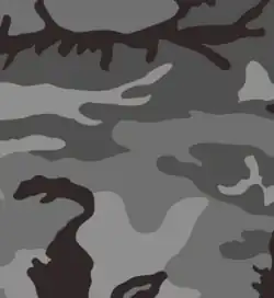 Urban variant of the Woodland pattern