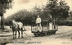 Food transport