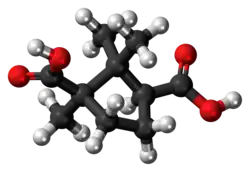 Ball-and-stick model of the camphoric acid molecule