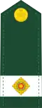 Army officer cadet rank insignia